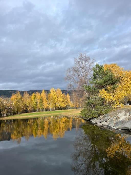 Delikat Hytte Omgitt Av Hallingdals Vakre Fjell Al Exterior foto